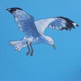 gull #5