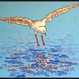 seagull #7