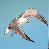 seagull #9