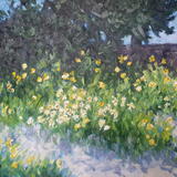 daffodils with dark trees