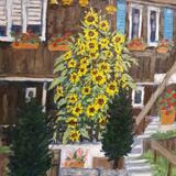 sunflower bush, wengen, switzerland