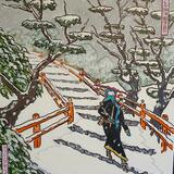 snow scene with pine trees