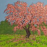 blossom tree