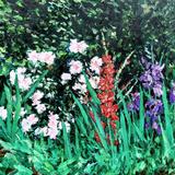 flowers in friends' garden