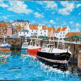 pittenweem harbour with seal