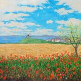 wild poppies near st monans, with windmill