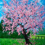 blossom tree 40