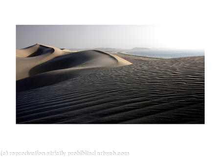 Coastal Dunes, Oman