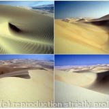 Dunes - Liwa, UAE