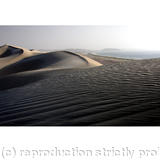Coastal Dunes, Oman