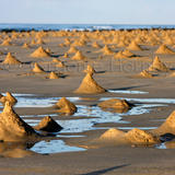 Ghost Crab Mounds at Sunset, Rakhyut, Dhofar, Oman