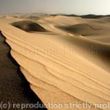 Coastal Dunes, Oman