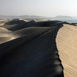 Coastal Dunes, Oman
