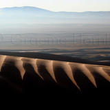 Dunes near Sweihan, UAE