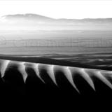 Dunes near Sweihan, UAE