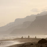 Beachlife, Dhofar, S.Oman