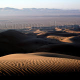 Dunes at sunrise, UAE