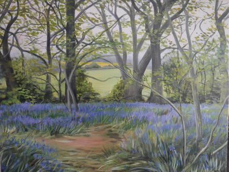 Pamphill Bluebells