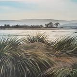 Sandbanks to the Purbecks