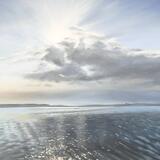 Evening light over Brownsea Island 