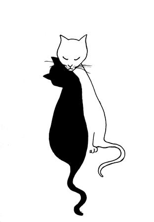 Cat Lovers (Purrfect)