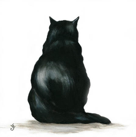Black Cat rear