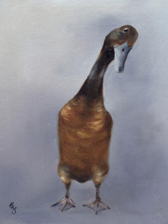 Runner Duck