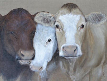 The Three Moo-sketeers