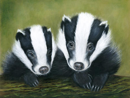 Badger Couple
