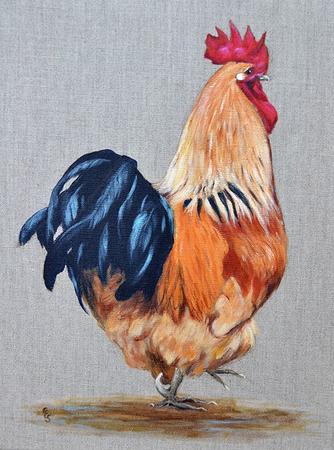 Cockerel -  Stepping Out