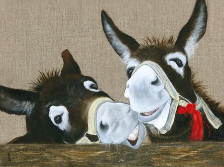 Donkeys - Laughing