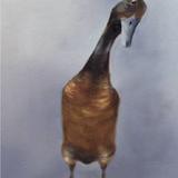 Runner Duck (Monty)
