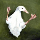 Tipsy Duckling