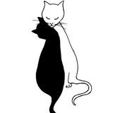 Cat Lovers (Purrfect)