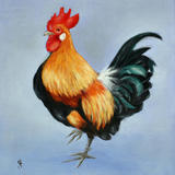 Cockrel (Cock Right)