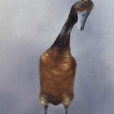 Runner Duck