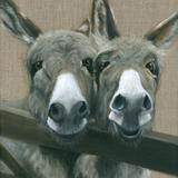 Two Donkeys