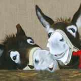 Donkeys - Laughing