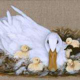 Duck with Ducklings