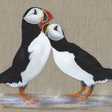 Puffins 'Adoration'