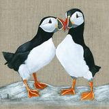 Puffins - Sweethearts