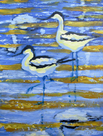 Avocets 2