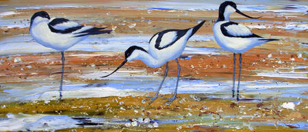 AVOCETS