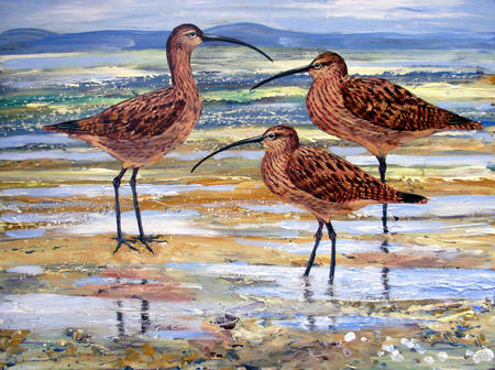 CURLEWS