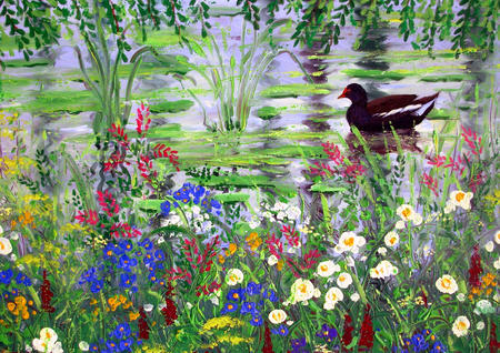 3. Moorhen
