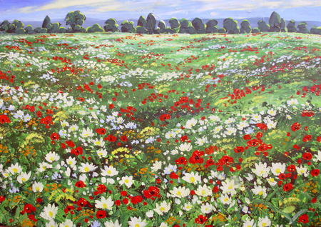 6. POPPY MEADOW