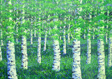 10. BIRCHES IN SPRING