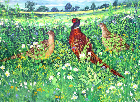 19. Pheasants in the meadow