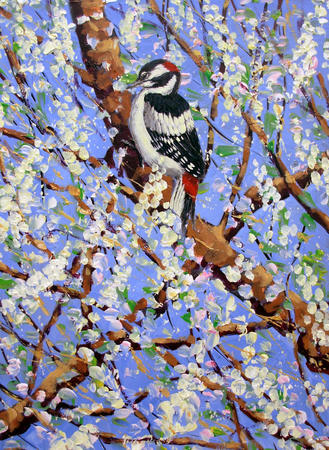 20. Great spotted woodpecker