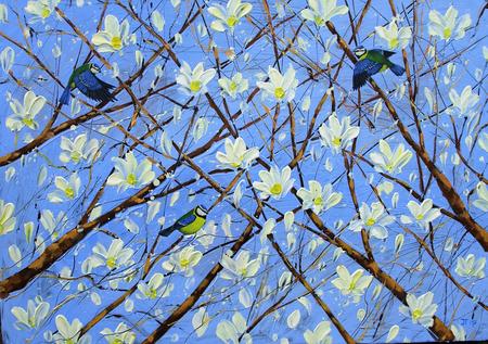 Blue tits in Magnolia blossom